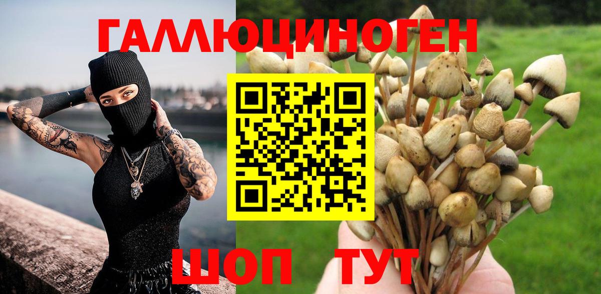 Вятские Поляны  Галлюциногенные грибы мухоморы  Вход с VPN 